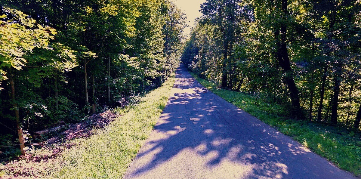 Gray Road : Minetto, NY